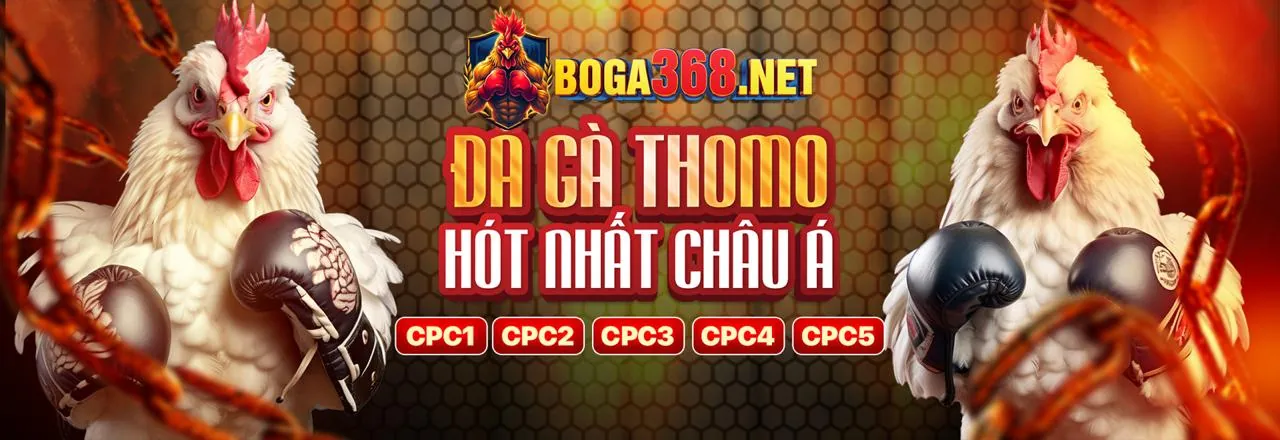 Trải nghiệm các loại game phổ biến tại Suncity88
